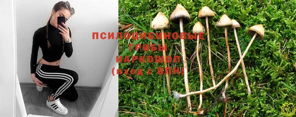 Альфа ПВП Арсеньев